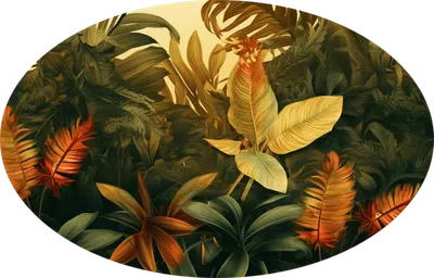 Tropics