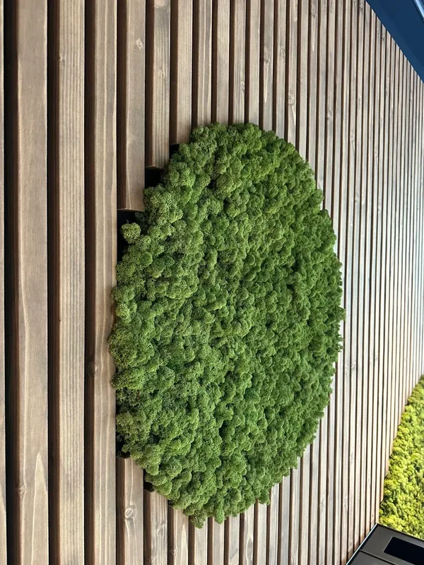 Akustika v duchu biophilic designu